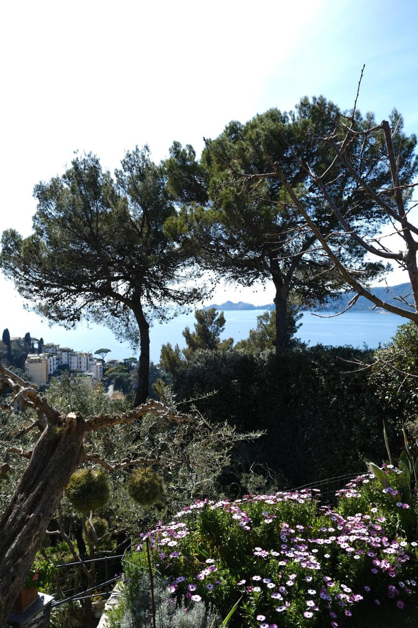 L'Alcova Tra Gli Ulivi By Portofinovacanze Zoagli Esterno foto