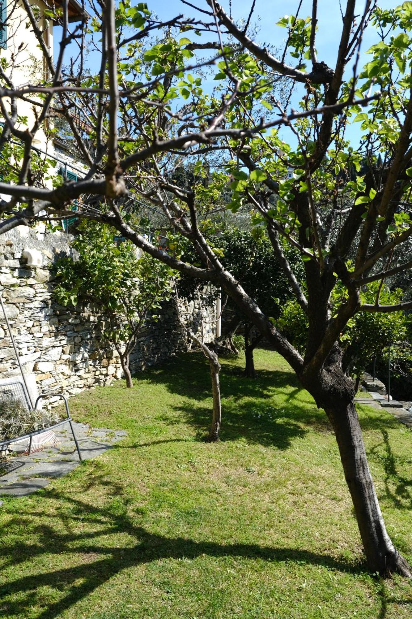L'Alcova Tra Gli Ulivi By Portofinovacanze Zoagli Esterno foto