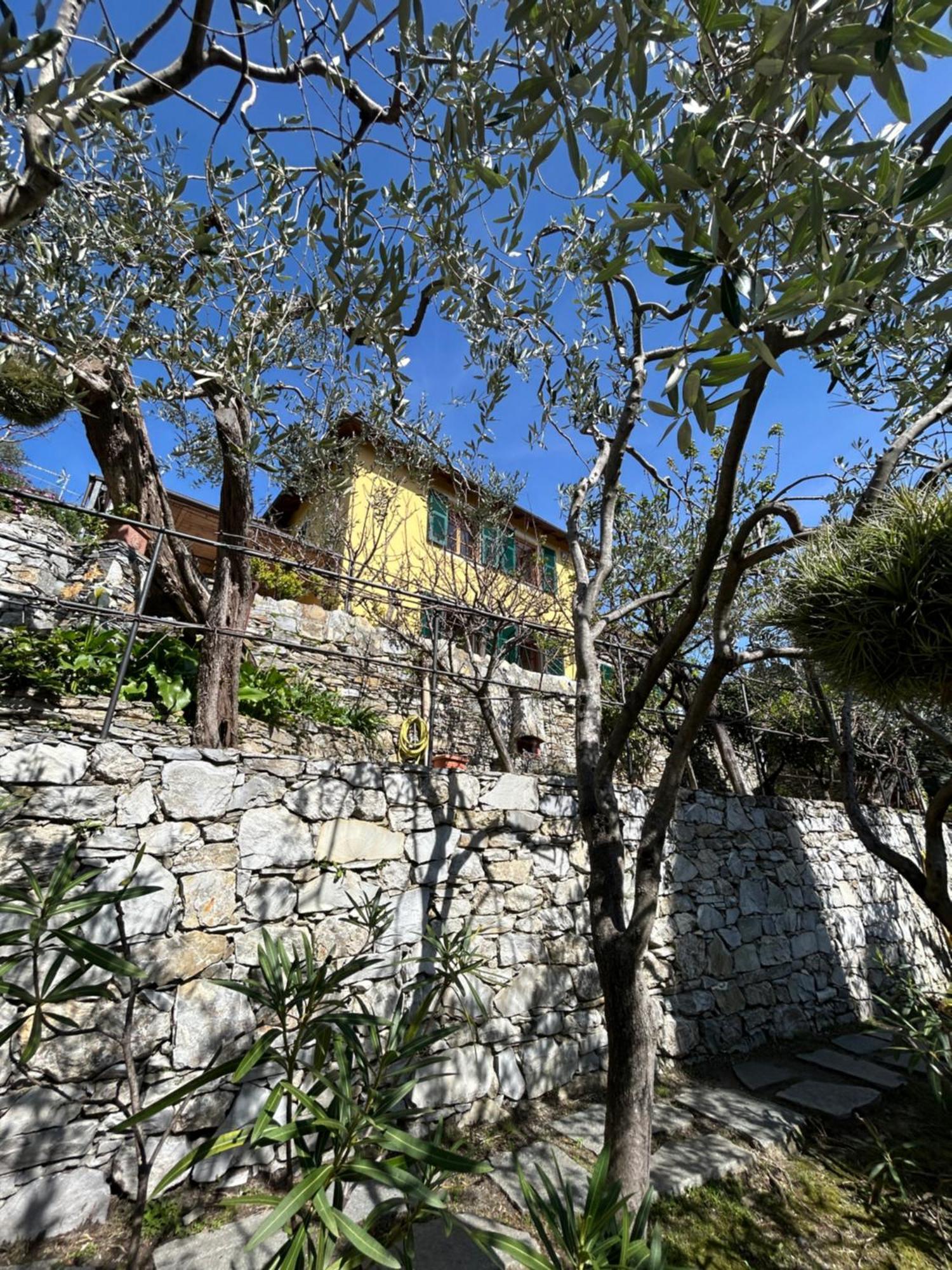 L'Alcova Tra Gli Ulivi By Portofinovacanze Zoagli Esterno foto
