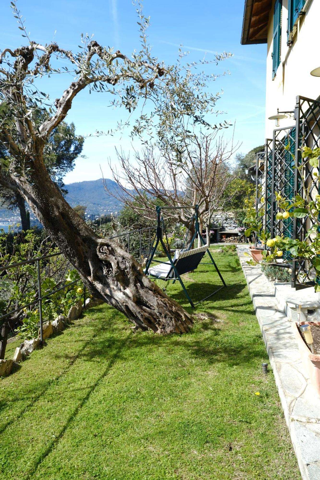 L'Alcova Tra Gli Ulivi By Portofinovacanze Zoagli Esterno foto