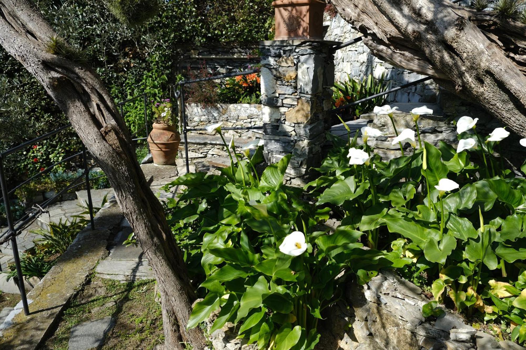 L'Alcova Tra Gli Ulivi By Portofinovacanze Zoagli Esterno foto